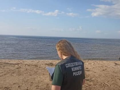 Появились ужасающие подробности смерти маленькой девочки в Вологодской области