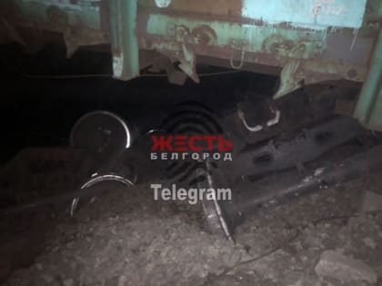 15 вагонов сошли с рельсов в Белгородской области: вероятность теракта на путях не исключают