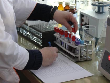 Координационный совет будет развивать научную деятельность в Вологодской области