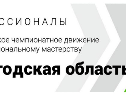 Финал Чемпионата «Профессионалы»
