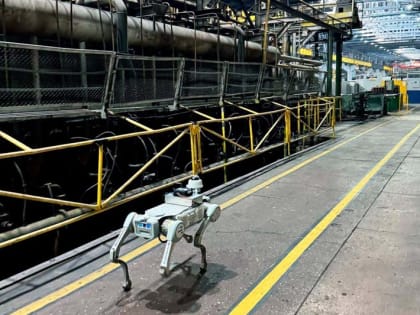 Робот для диагностики: новая эра в медицинских технологиях