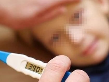 Беда не приходит одна: в Вологодской области закрывают школу на карантин из-за массового заболевания детей кишечной инфекцией