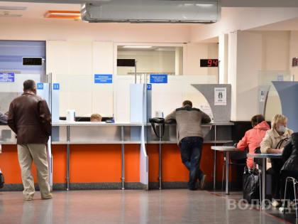 Только 30 % вологжан отчитались о доходах за 2022 год
