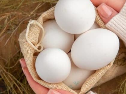 Ученые сообщили, что яйца не повышают уровень холестерина у пожилых людей с заболеваниями сердца