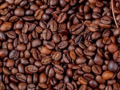 Гериатра Рунихина сообщила, что кофе защищает пожилых от рака и Альцгеймера