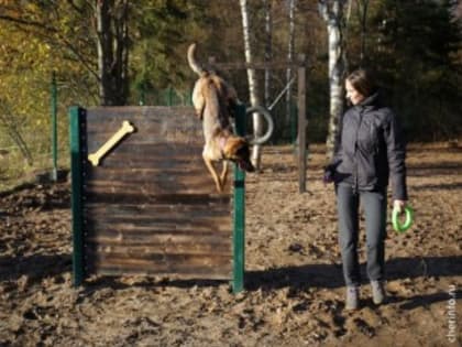 В Череповце при поддержке предпринимателей открылась площадка для выгула и дрессировки собак