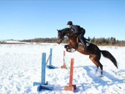 В выходные на Череповецком ипподроме состоится новогодний карнавал