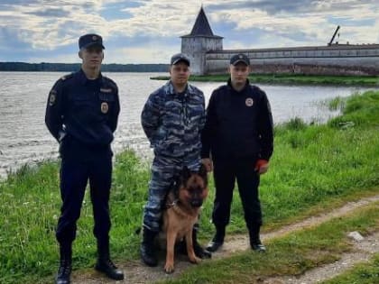 Трое полицейских спасли молодого купальщика, едва не утонувшего в Сиверском озере