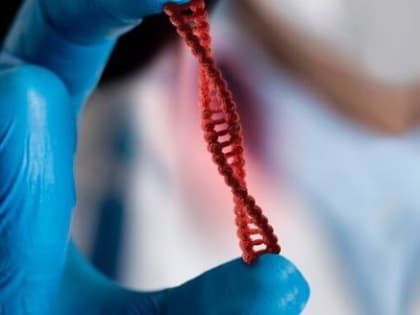 В проблему с гепатитом в Вологодской области вмешался Михаил Мишустин