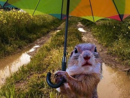 Лета не будет: прогноз о самом жарком лете в России за 150 лет был уничтожен…