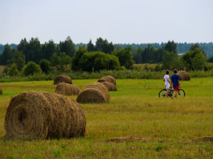 В Вологодской области 535 многодетных семей получили выплаты по земельному сертификату