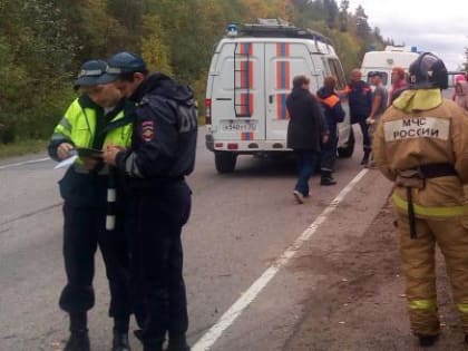 Рейсовый автобус съехал в кювет на автодороге Кириллов-Череповец, есть пострадавшие