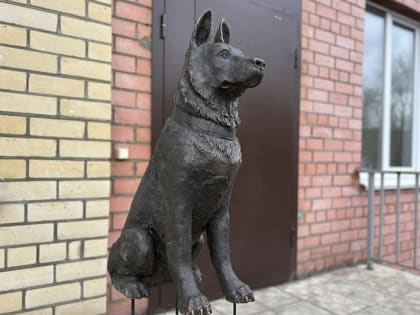 В Череповец из Петербурга привезли памятник героической собаке