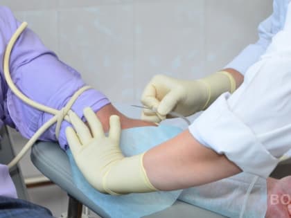 Вологжане могут записаться на донацию на Госуслугах