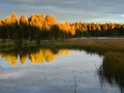 В Вологде расскажут об исследовании водоемов