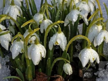 Вы будете орать от злости: прогноз погоды на весну оказался…