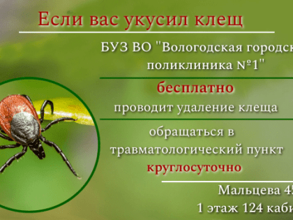 Напоминаем! Если вы обнаружили на своем теле клеща, вы можете обратиться в травмпункт на 1 этаже поликлиники в 124 кабинет, круглосуточно и извлечь насекомое абсолютно бесплатно.