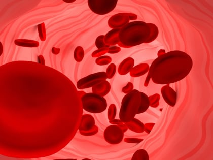 Содержание гемоглобина в крови у женщин: какова норма и что делать при отклонениях