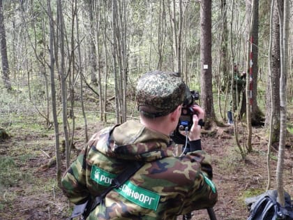 В Вологодской области оценят состояние лесов