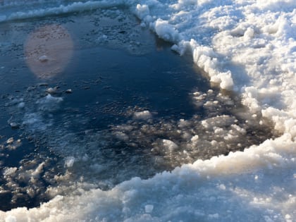 Стартовал муниципальный этап экологического форума «Изменение климата глазами детей – 2025»
