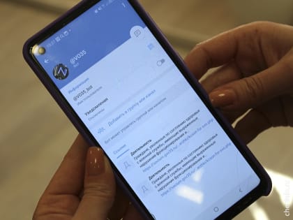 В Вологодской области запустили чат-бота для участников СВО