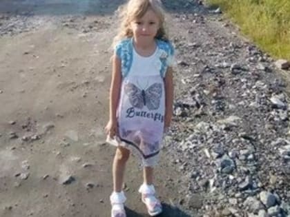 Пятилетнюю девочку искали более 3 суток в лесу и нашли живой