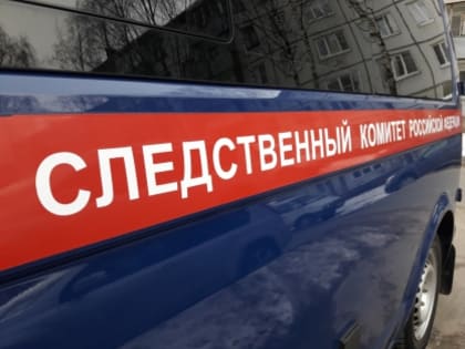 В Череповце 32-летняя женщина подозревается в причинении по неосторожности тяжелой травмы своему ребенку