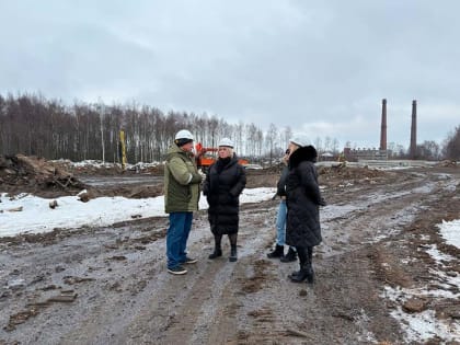 В Череповце откроется завод по переработке льна