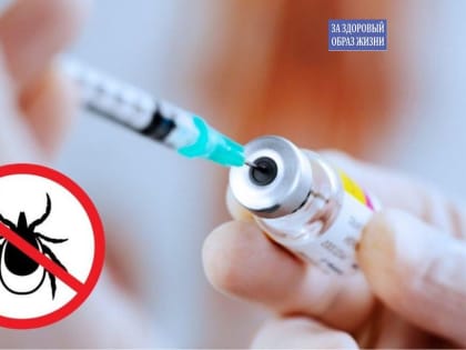 Сезон активности клещей  не за горами