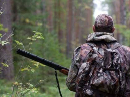 Ни одной уголовной статьей закончилась охота для вологжанина