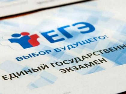 Более 300 вологжан прошли пробный ЕГЭ по информатике