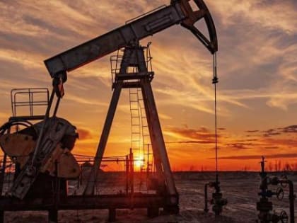 Нефтегазовые доходы бюджета РФ за пять месяцев текущего года сократились на 50%