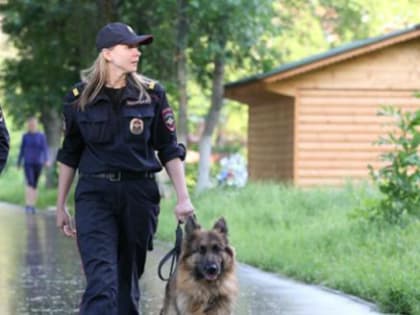 В Вологде ищут 15-летнего подростка, пропавшего в районе ул. Ленинградской