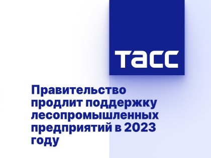 Правительство продлит поддержку лесопромышленных предприятий в 2023 году