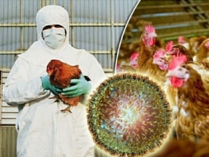 Азербайджан ограничил ввоз продукции из Вологодской области РФ