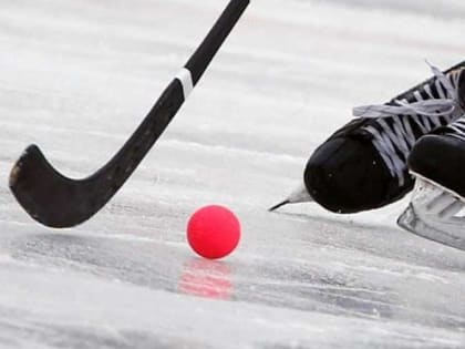 Матч чемпионата России по хоккею с мячом в Вологде отменен из-за погодных условий