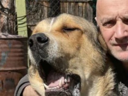 Автомобиль с писателем Захаром Прилепиным взорвали в Нижнем Новгороде