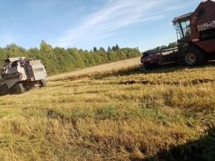 В Кадуйском районе завершена уборочная кампания