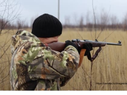 В Нюксенском районе вынесено решение по делу о трагической гибели в лесу мужчины от огнестрельного ранения, причиненного по неосторожности охотником