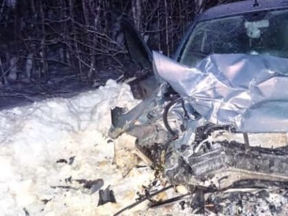 Появились подробности смертельного ДТП на трассе «Вологда - Новая Ладога»: личности погибших и раненых устанавливаются