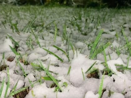 Первый снег в Череповце: предвестник зимы