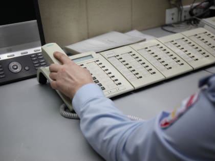 В Череповце стало меньше преступлений на улицах и в общественных местах