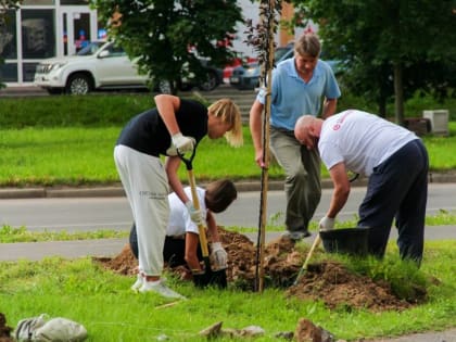 Одна из компаний Союза промышленников и предпринимателей области оказала содействие в благоустройстве Зашекснинского района Череповца