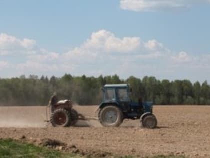 В Кадуйском районе начались весенне-полевые работы