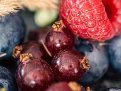 Россиянам рассказали, какие опасные болезни можно подхватить, поев немытых ягод