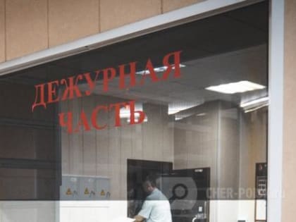 В Северной столице ребенок спас мать от убийцы за час до Нового года