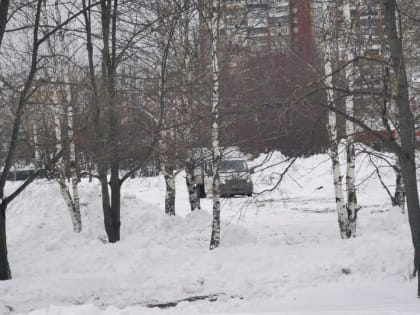 На Архангельской начали расчищать площадку для благоустройства сквера