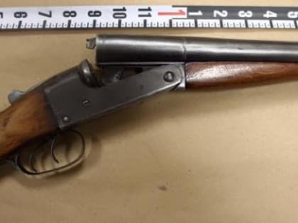 Череповецкий умелец, смастеривший обрез из ружья, получил условный срок