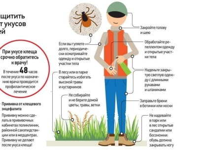 Как защитить себя от присасывания клещей