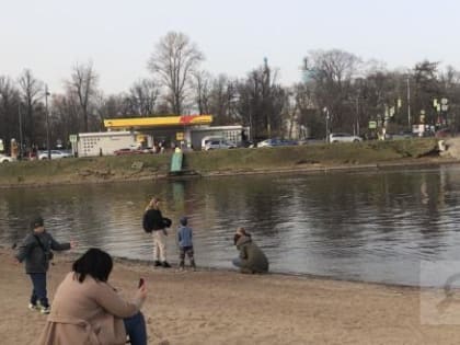 Курортный сбор в Питере показывает небывалую финансовую эффективность